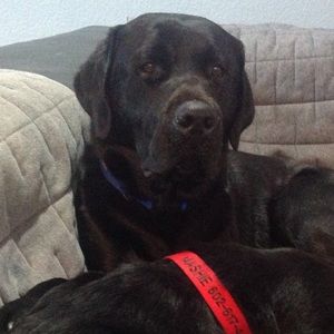 Meet your Posher, Mark